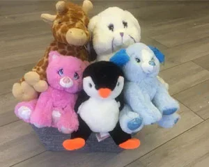 Heartbeat Bear (Large)